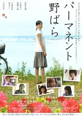 《常开野蔷薇》:绽放于职场,女性的坚韧与成长