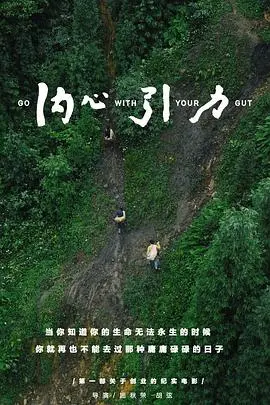 《内心引力》:探索生命的意义,追寻真实的自我